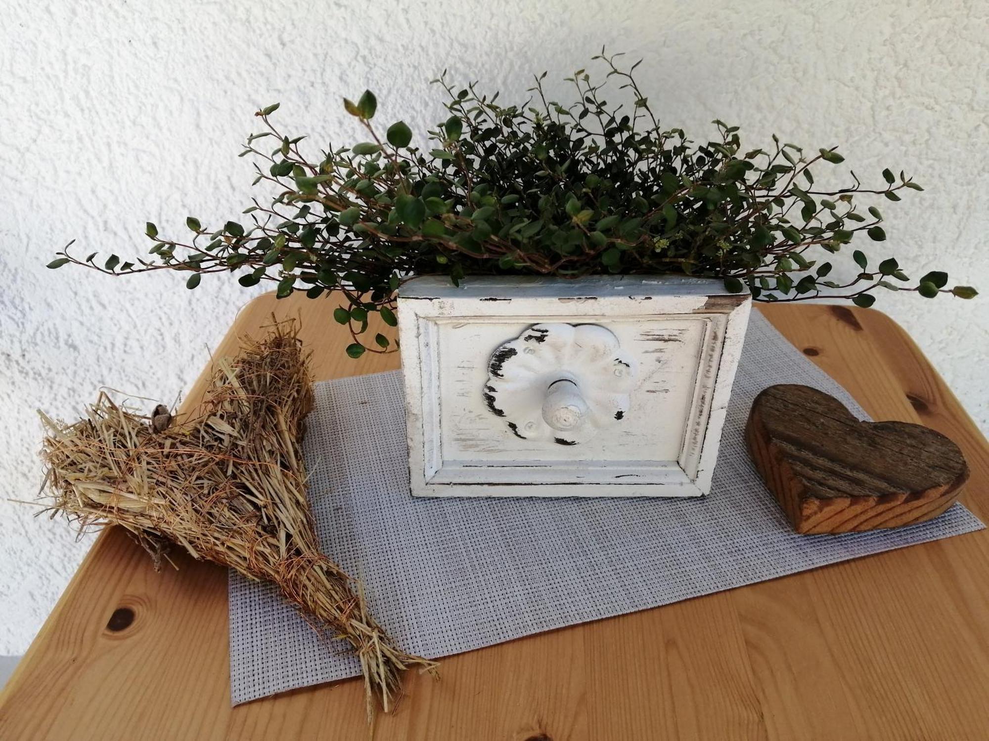 Ferienwohnung Deine Rauszeit ซีบาค ภายนอก รูปภาพ